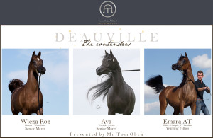 deauville